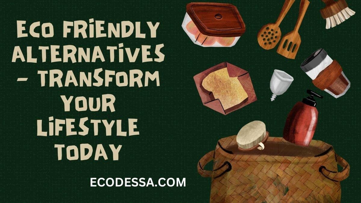 Comparing Seventh Generation TP with Other Eco Choices